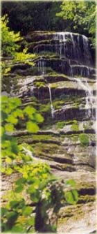 ardèche : gourdou