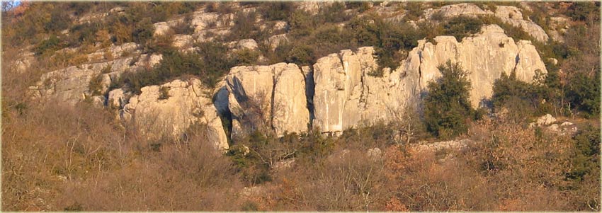 beaumiral