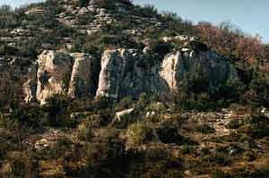 petite falaise de Beaumirail (Le Pouzin)