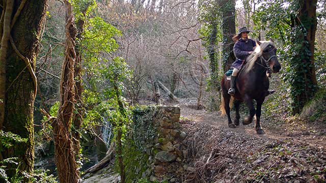rando equestre en Rhône Alpes : randonnee equestre chenavary