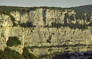 falaise : La Rouvière