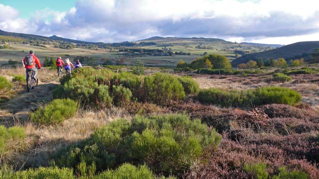 vtt en ardèche : vtt mezenc 24
