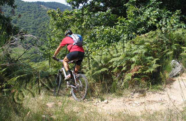 vtt en ardèche : vtt privas