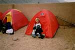 cavaliers en jordanie