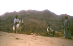 cavaliers en jordanie