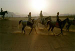 cavaliers en jordanie