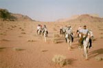 cavaliers en jordanie