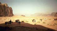 cavaliers en jordanie