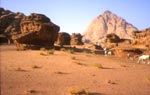 cavaliers en jordanie