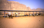cavaliers en jordanie