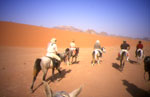 cavaliers en jordanie