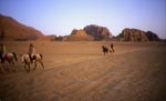 cavaliers en jordanie
