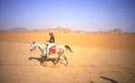 cavaliers en jordanie