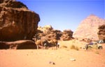 cavaliers en jordanie
