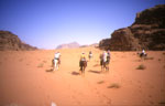 cavaliers en jordanie