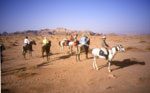 cavaliers en jordanie