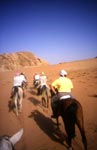cavaliers en jordanie