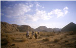 cavaliers en jordanie