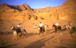 cavaliers en jordanie