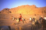 cavaliers en jordanie