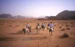 cavaliers en jordanie