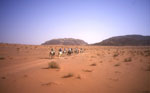 cavaliers en jordanie