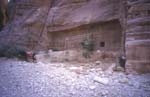 cavaliers en jordanie