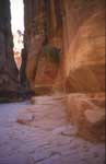 cavaliers en jordanie
