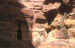 cavaliers en jordanie
