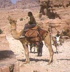 cavaliers en jordanie