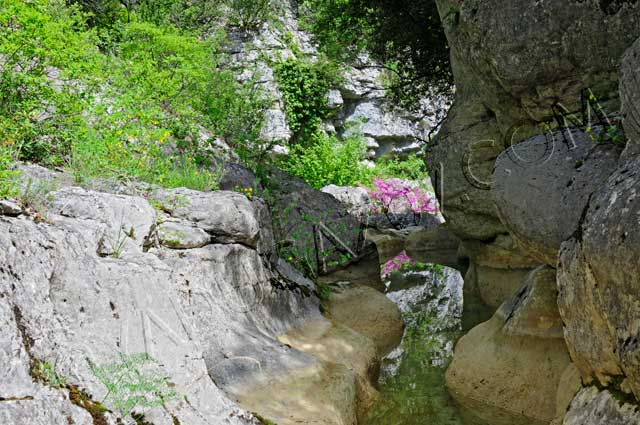 canyoning en ardèche : canyon rimouren