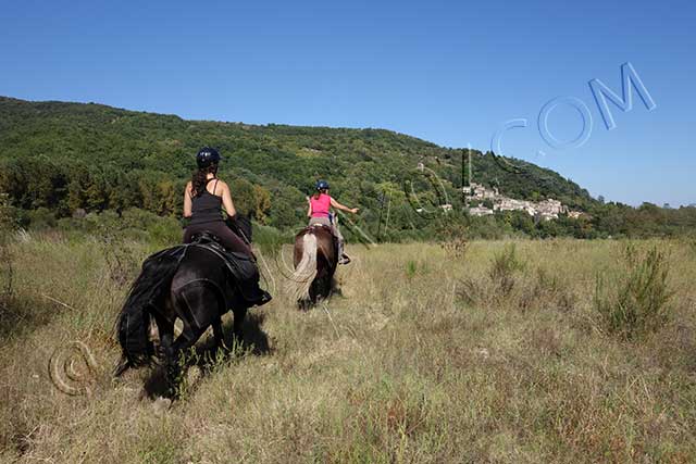 randonnée equestre en ardèche : randonnee equestre beauchastel