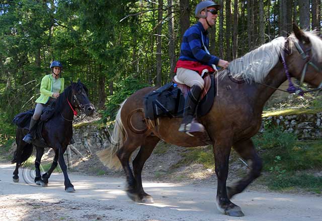 rando equestre en Rhône Alpes : randonnee equestre chalencon