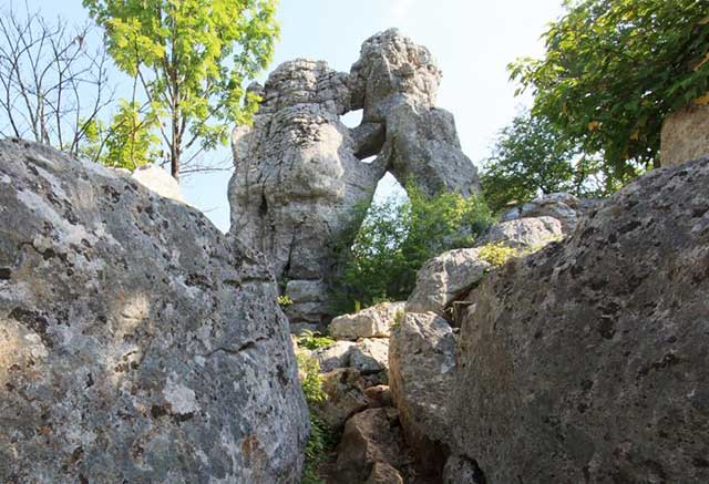 formes du bois de paiolive