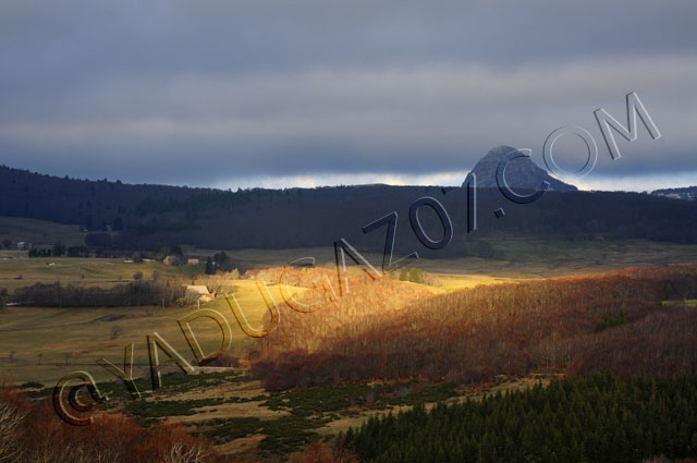 le mont gerbier des joncs