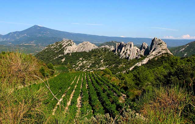 vtt en ardèche : dentelles montmirail gigondas