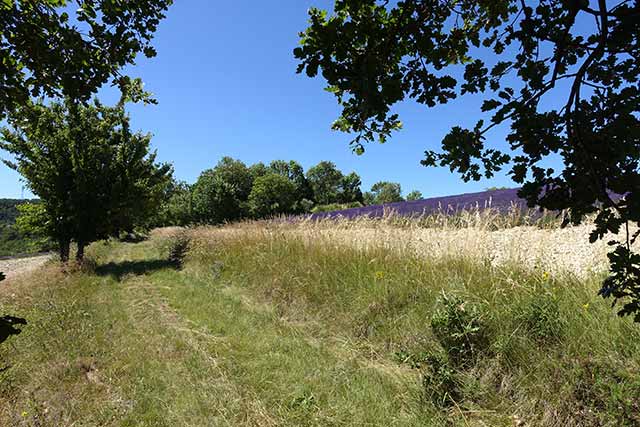 vtt en ardèche : lavande rochefort montjoyer