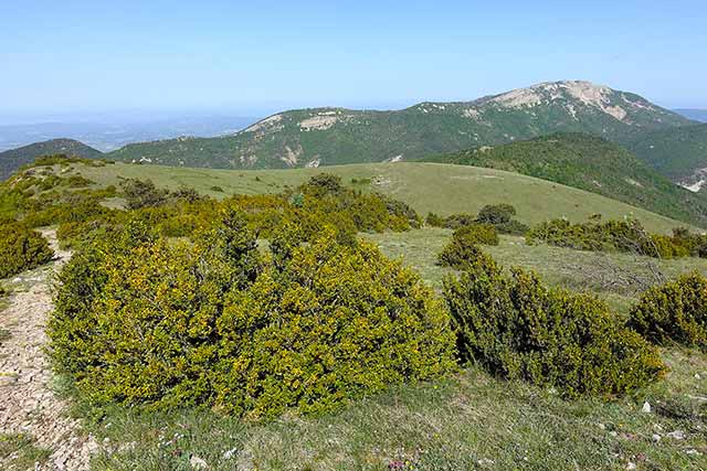 vtt en Drôme : Montagnes de la Lance et du Cougoir