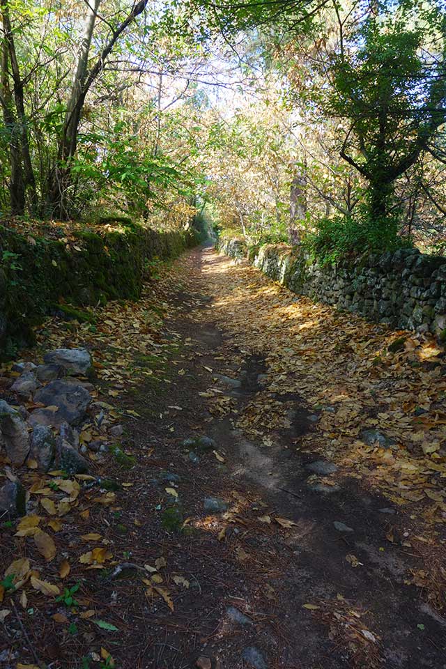 vtt en ardèche : sentier ailhon