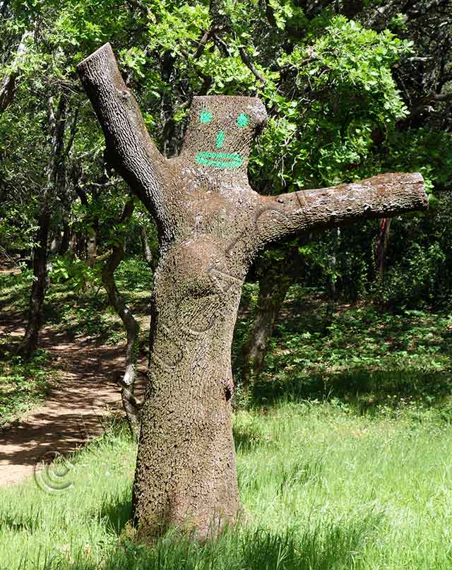 vtt en ardèche : sentier suze la rousse