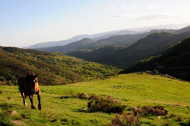 vtt en ardèche : tanargue mejean