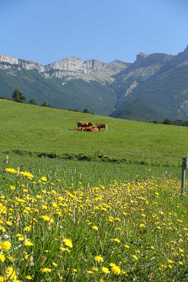 vtt en ardèche : vercors pays de quint