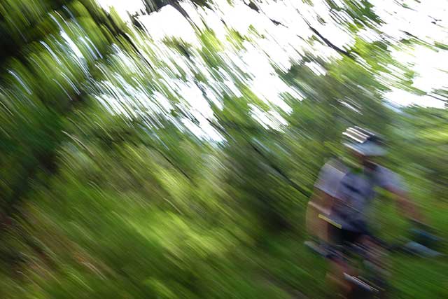 vtt en Ardèche : La forêt de Barrès du Nord au Sud