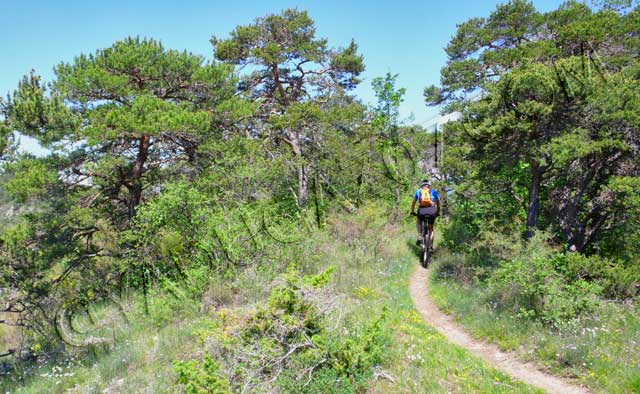 vtt en Drôme : Les crêtes de Serre Arthaud