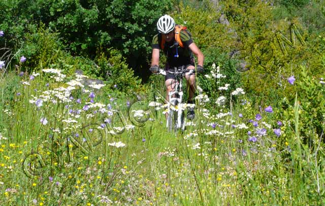 vtt en Drôme : Balcons de la Roanne