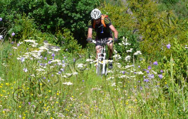 vtt en ardèche : vtt col betton