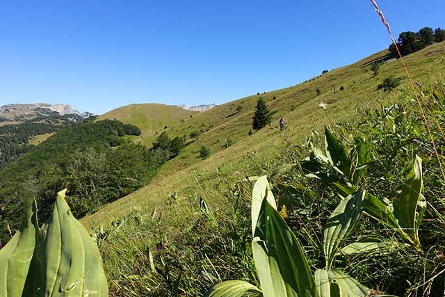 vtt en ardèche : vtt combau crete grande leirie