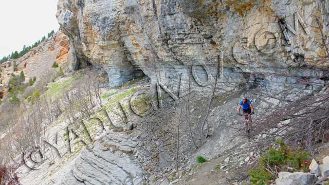 vtt en ardèche : vtt comptoir a moutons