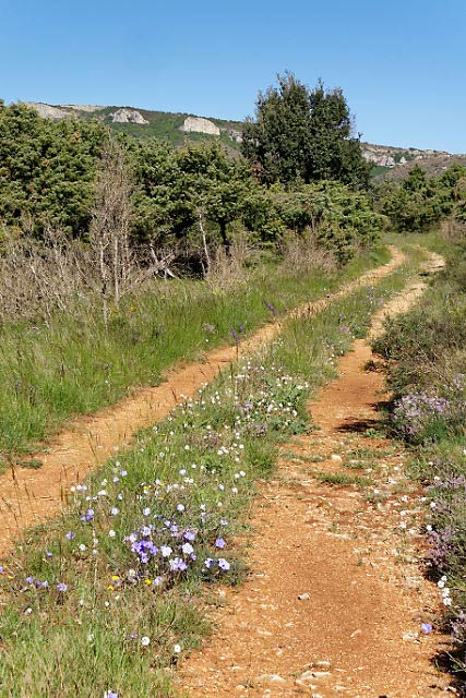 vtt en Ardèche : Dent de Rez depuis Bourg-Saint-Andéol