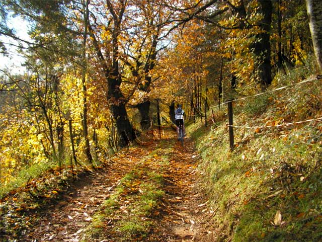 vtt en ardèche : vtt doux desaignes